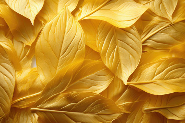 Golden leaf texture background, bright wrapping paper decoration element, generative IA